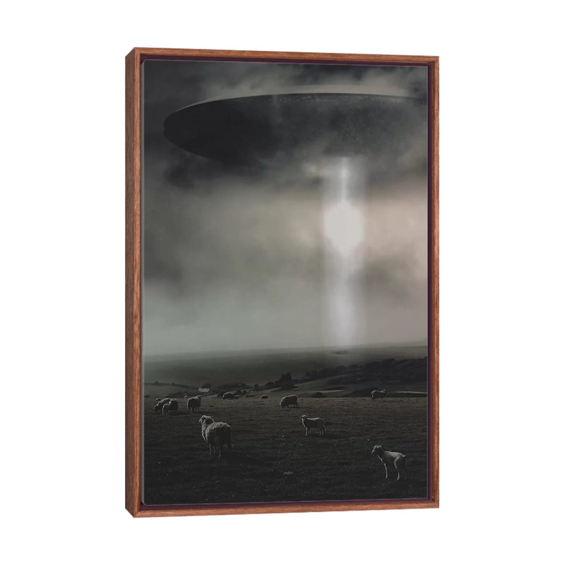Abduction by Rob Hakemo - Print on Canvas, 101.6 cm H x 66.04 cm W, Classic Brown Wood Framed