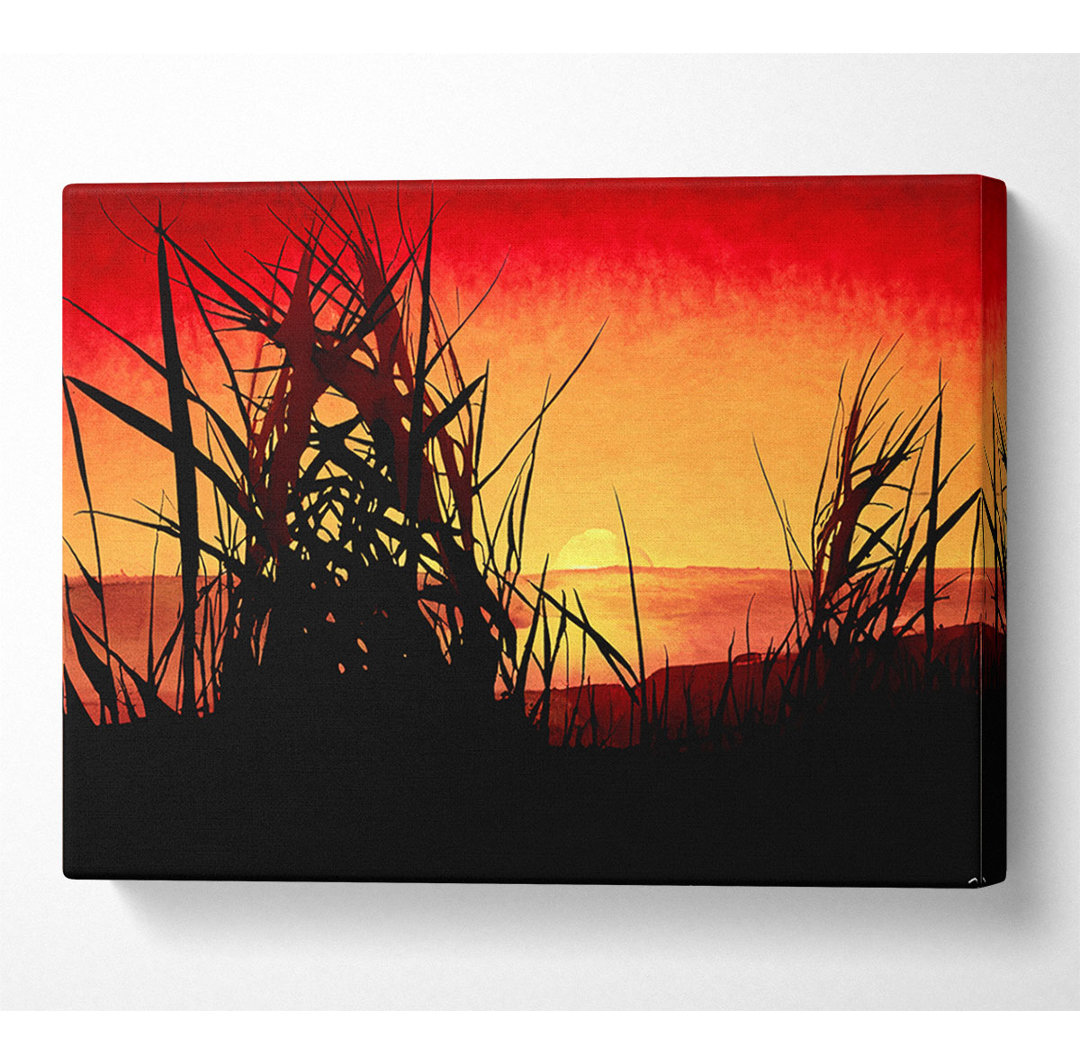 The Sunset Reeds - Kunstdrucke auf Segeltuch