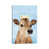 Wrapped Canvas is unavailable