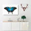 Ulysses Butterfly by George Shaw - Wrapped Canvas-55372134
