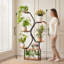 Support pour plante d'intérieur 65 "avec lumière de croissance, étagère à plantes en métal à 7 niveaux avec cadre double tuyau pour présentation en coin-181001391