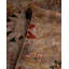 Fine Vibrance One-of-a-Kind 4'4" x 6'4" Hand Knotted Area Rug