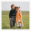 Braniah Picture Frame - Set of 5-36601791-36601728
