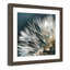«Dandelion Dreams I» par Edgemont, impression encadrée