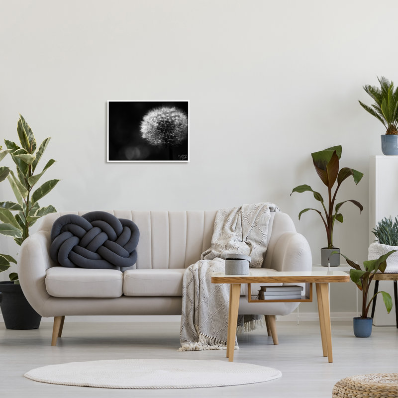 «Modern Black Dandelion» par Stephanie Dicks - Photographie à cadre flottant sur bois, L 20 po x H 16 po x P 1,5 po