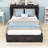 Wooden Murphy Bed with Built-in Charging Station and Storage Drawers-684628725-684628724
