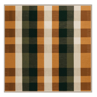 Machine Washable Checkered Brown Area Rug