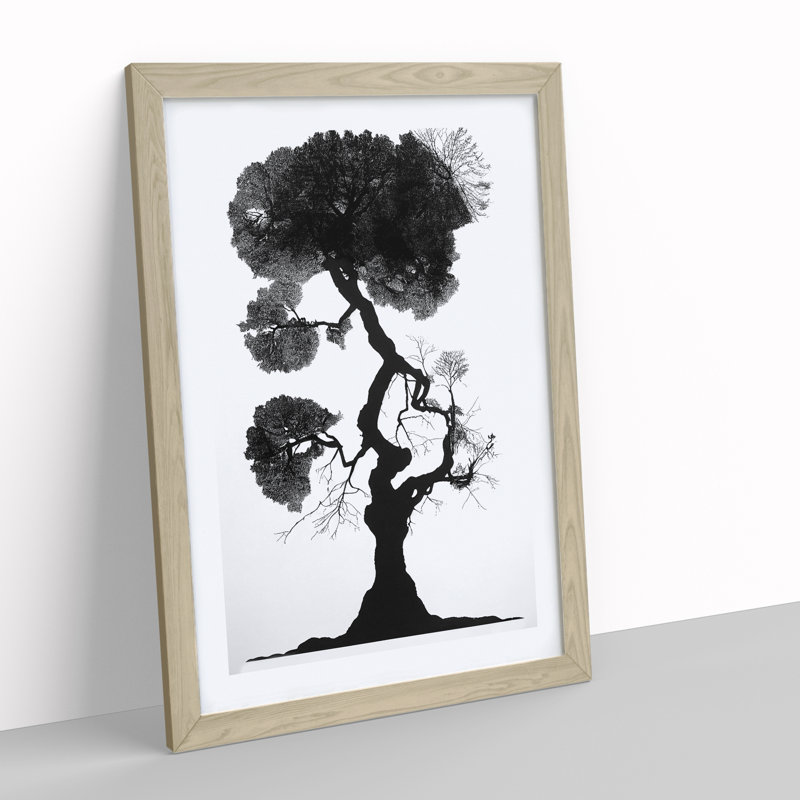 Tree In Monochrome No.1 - Single Picture Frame Print, 46cm H x 34cm W x 2cm D, Oak Framed