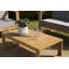 Taniya 4 Seater Sofa Set