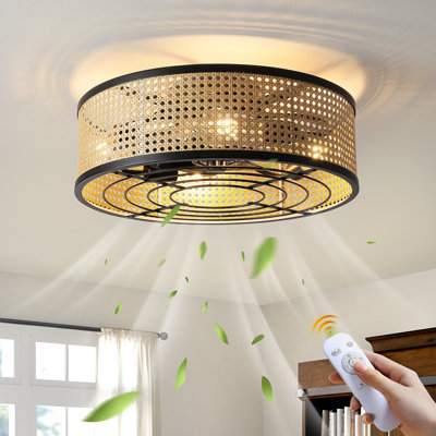 Peddie 20" Coastal Caged Ceiling Fan with Lights Flush Mounted