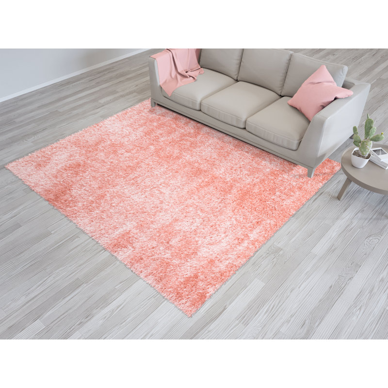 Jaykwan Solid Colour Shag 120cm X 170cm Area Rug