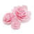 Rose clair est en rupture de stock