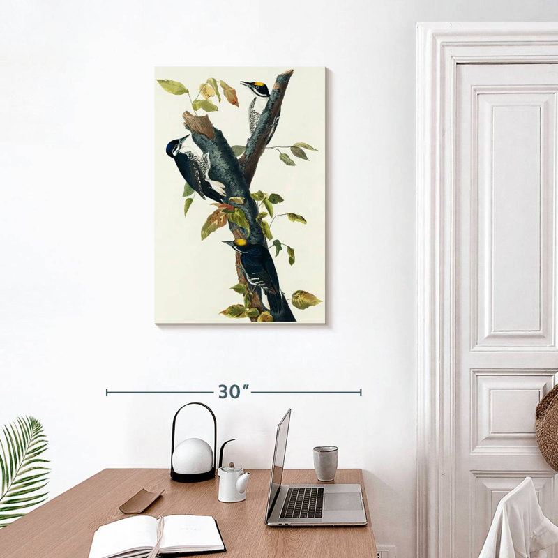 Keiri Three-Toed Woodpecker, 30" H x 20" W
