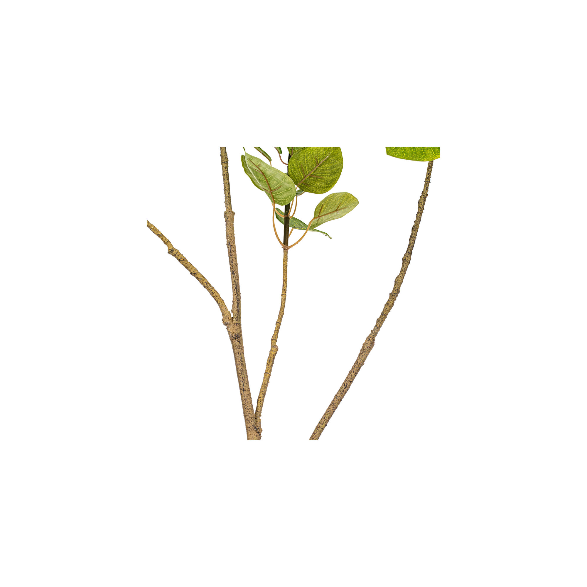 Artificial 4' Cotinus Coggygria Branch, Green