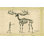 " Fossil Elk Friend " Painting Print