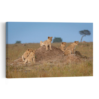 Savannah Lion Cubs Abstract Contemporary Landscape Nature Wall Art Print by Jeffrey C. Sink - 1 Piece Wrapped Canvas Wall Art