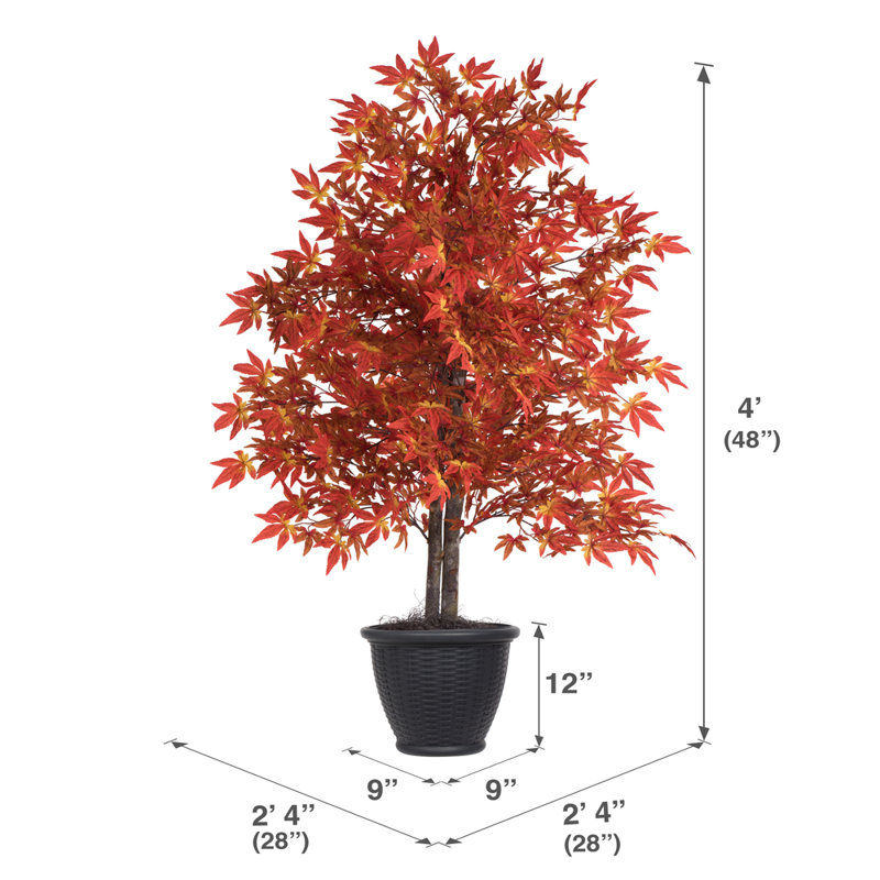 Érable artificiel orange, gris