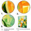 Vert et jaune motif de melon d'eau 1 - Melon, art mural-1554888563