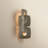 Trentino Wall Sconce in Stria Leaf-112620538