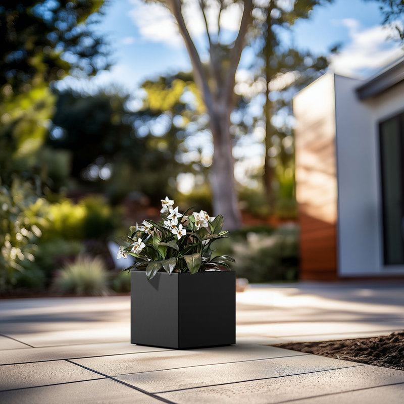 Boîte à fleurs en béton Redegonda, H 10 po x l 10 po x P 10 po, Noir anthracite