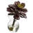 6 " H Faux Succulent Plant and Succulent in Glass Decorative Vase