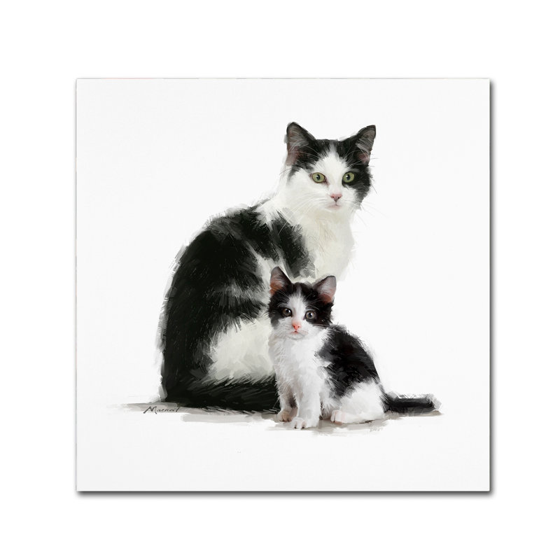 Armand 'Black and White' Print on Canvas, 14" H x 14" W x 2" D
