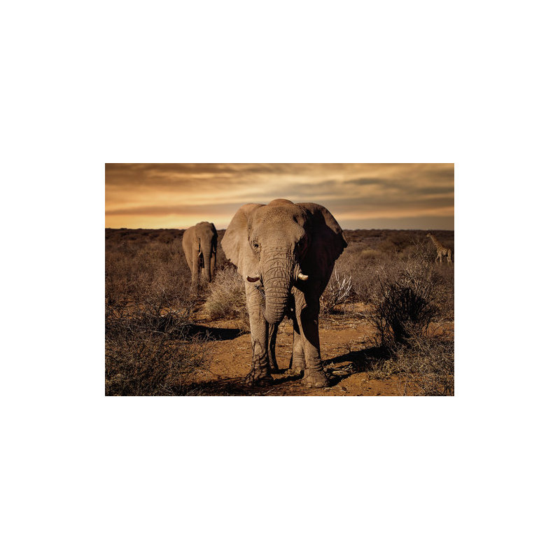 Wrapped Canvas Print