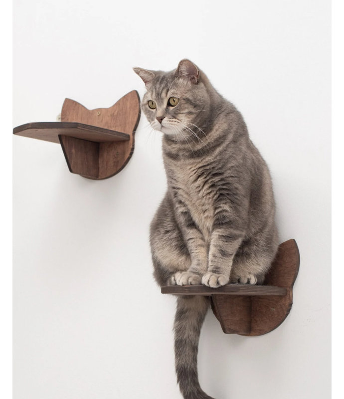Cat Steps