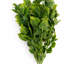 75 cm H Faux Plant-127681014