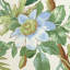 Palmetto Garden Fabric