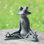 Yoga Frog Garden Sculpture