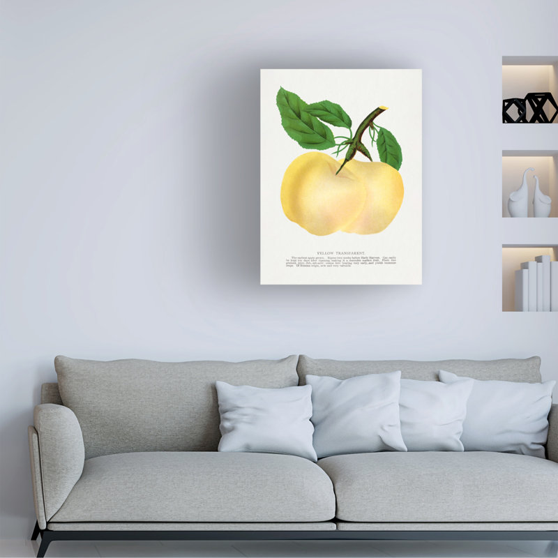 Art sur toile, bolognaise transparente, H 19 po x l 14 po