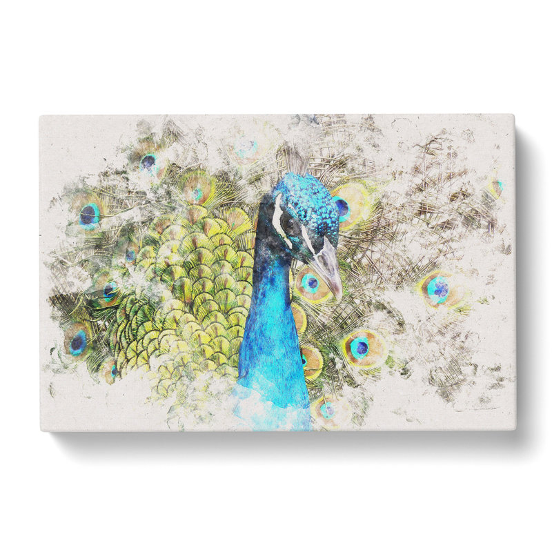 Dazzling Peacock Bird - Wrapped Canvas, 60cm H x 91cm W x 4cm D