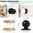 Passage Door Knobs with Round Rosette-43663670