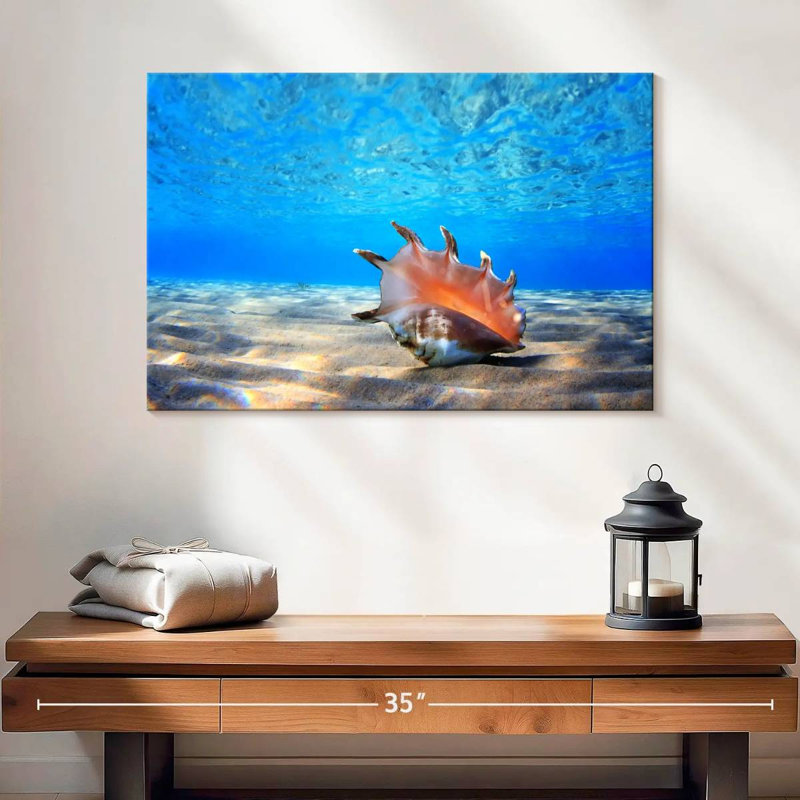Aletra Seashell Treasure, H 16 po x l 24 po