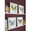 Butterfly Study 7' Framed Graphic Art Print on Glass