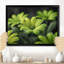 Photo de marguerites monochromes vertes et noires - salon de marguerites murales-526430184-526430178