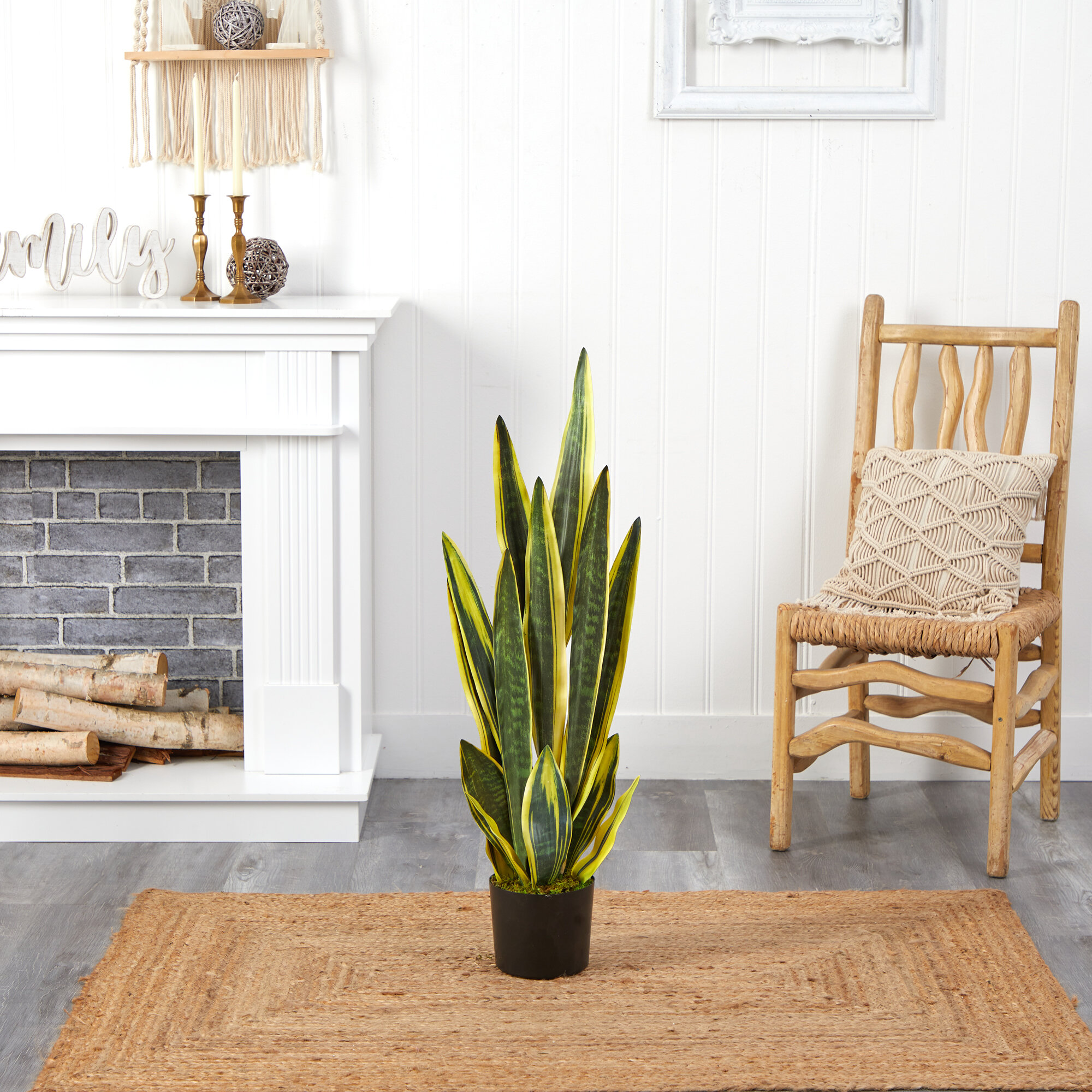 Primrue Artificial Snake Plant Tree & Reviews | Wayfair