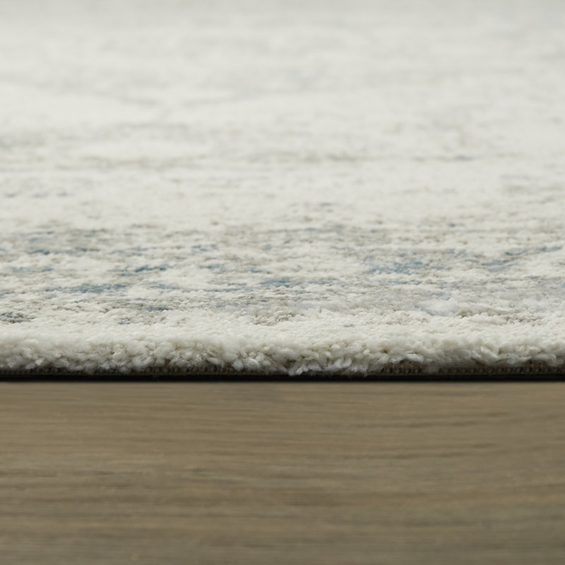 Tapis à motif oriental gris Oloughlin, Rectangle 8 pi x 10 pi