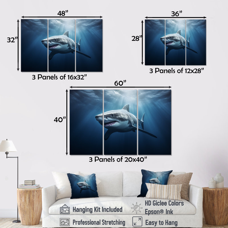 Océan, requin fantôme bleu, photographie, requin, H 28 po x l 36 po
