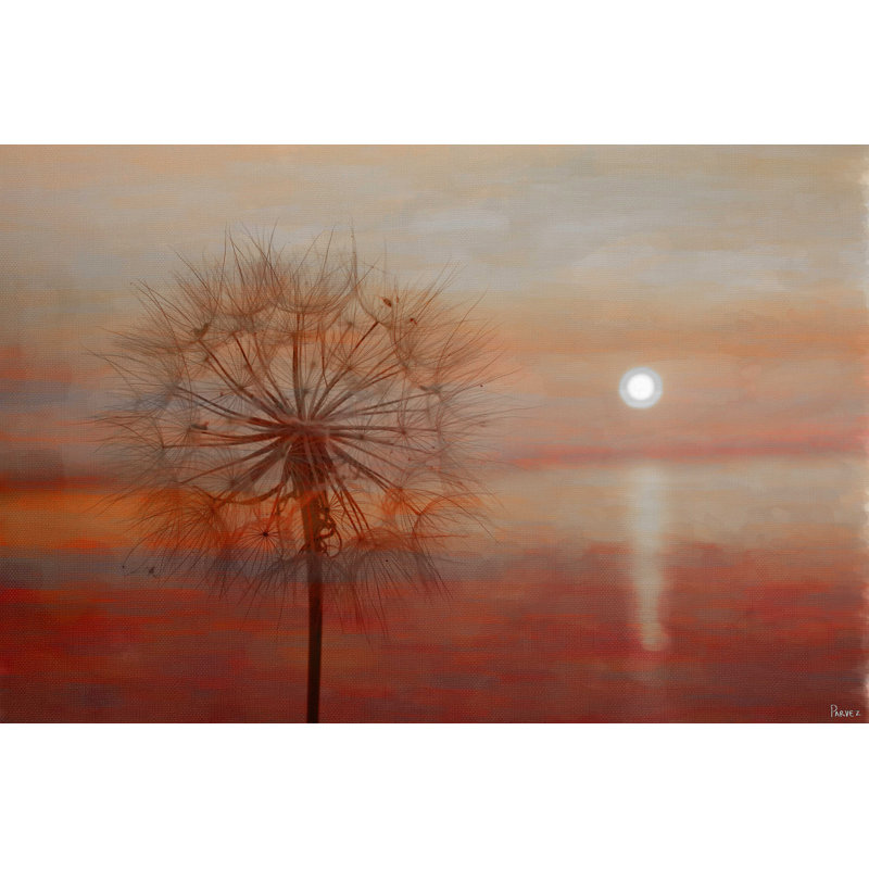 Parvez Taj - Wrapped Canvas Print, 51cm H x 76cm W