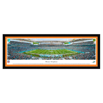 " Miami Dolphins "