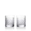 Waterford Opulence 11.5oz Tumbler