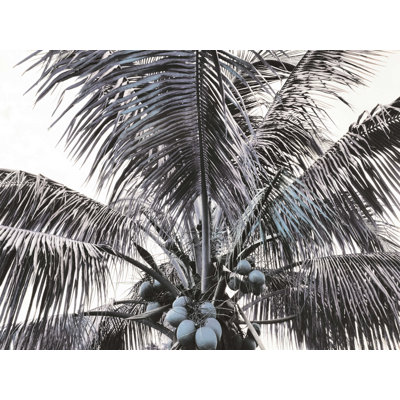 " Palm Blue "