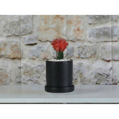 Cylinder Pot with Detached Saucers By 