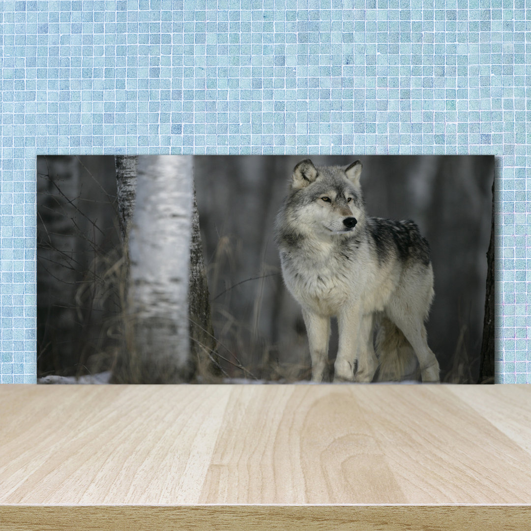 Franka Wolf 50cm x 100cm Glass Panel