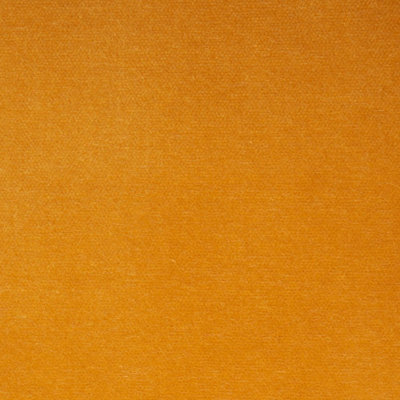 Rocky Performance Velvet Fabric