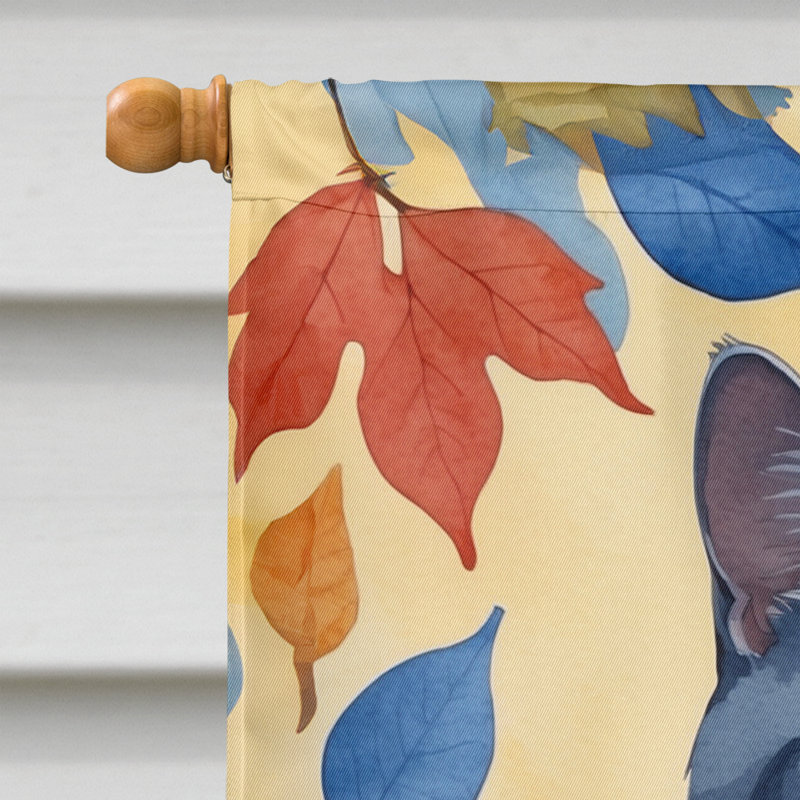 Chat en feuilles d'automne, Chartreux