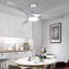 Adreana 132cm Ceiling Fan with LED Lights