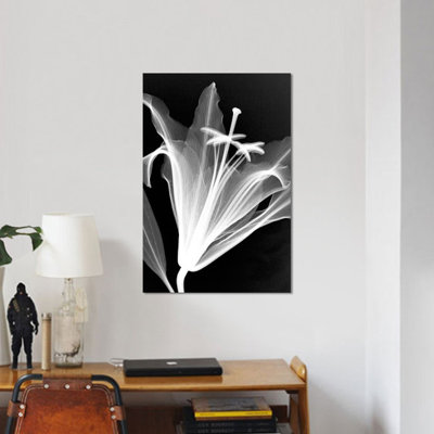 " Lily " by Hong Pham